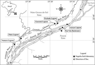 Relationship of Freshwater Fish Recruitment With Distinct Reproductive Strategies and Flood Attributes: A Long-Term View in the Upper Paraná River Floodplain